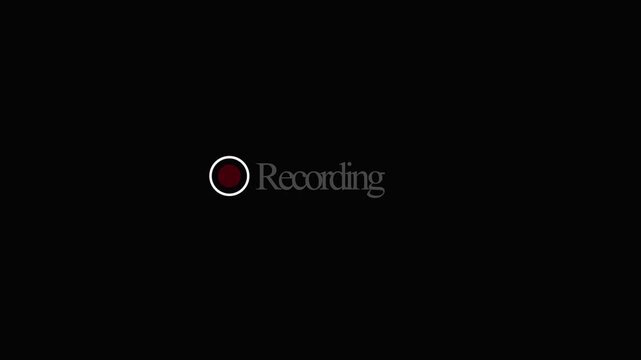 camera recording overlay animation, REC frame icon animation, Camera recording sign with transparent background 4K Video