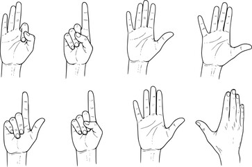 Fototapeta premium Collection of black and white line of human hands displaying various gestures and counts