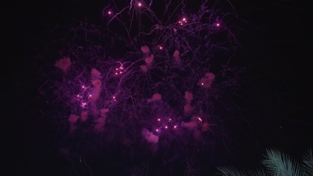 Spectacular purple and golden fireworks illuminate the dark night sky with brilliant bursts and cascading trails of light, palm tree silhouettes visible in the corner framing this festive celebration.