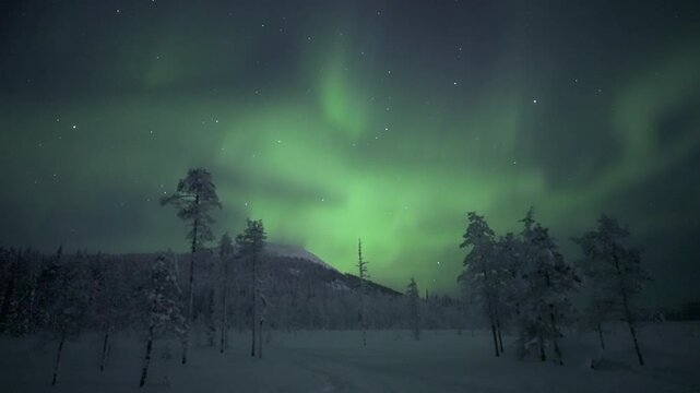Bright Aurora Borealis Over Snowy Forest and Fells in Lapland, Real Time