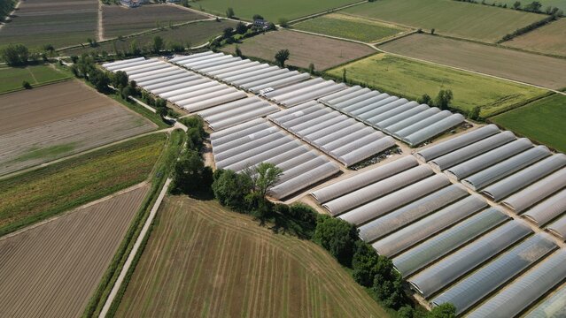Greenhouse Agriculture Aerial View: An expansive aerial view showcases rows of agricultural greenhouses covering a vast field, hinting at a productive and modern farming operation.