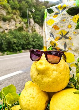 Amalfi lemon wearing sunglasses on a sunny road