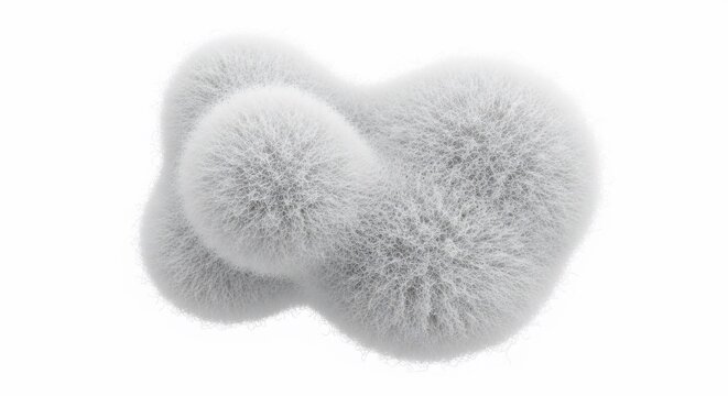 Gray fuzzy pom poms on white.