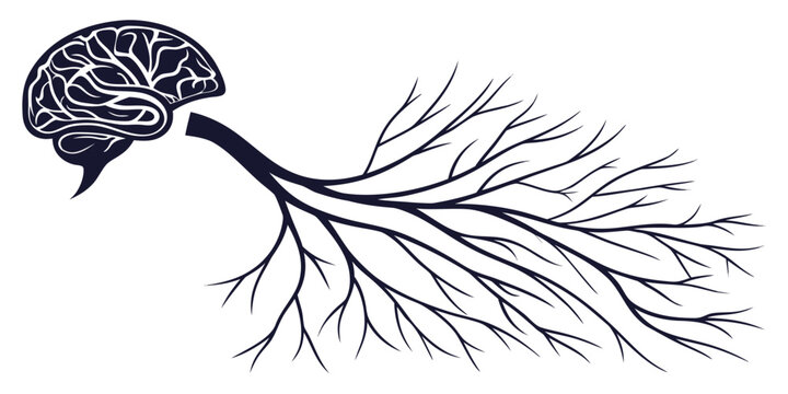 Human brain with spreading root-like nerves illustrating neural connections and complex thought pathways nervous system human body information flow problem solving connections