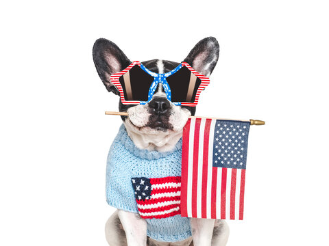 Patriotic French Bulldog holding a small American flag. Symbol of patriotism, national pride. Perfect for Independence Day, Flag Day, Memorial Day, Veterans Day, USA celebrations, marketing campaigns