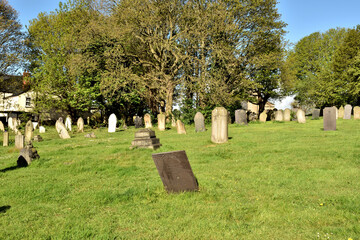 Naklejka premium A row of historic stone headstones in the Bulwell churchyard, surrounded by fresh spring grass and mature trees under bright morning sunlight