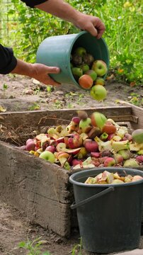 Rotten Fruits and Vegetables in Outdoor Compost Pit. Decomposing Produce in Garden Compost Heap. Food Waste in Outdoor Compost Bin