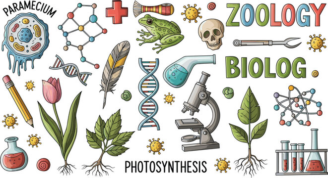 Biology vector illustration featuring DNA helix, paramecium, microscope, plants, frog, skull, viruses, and laboratory science elements
