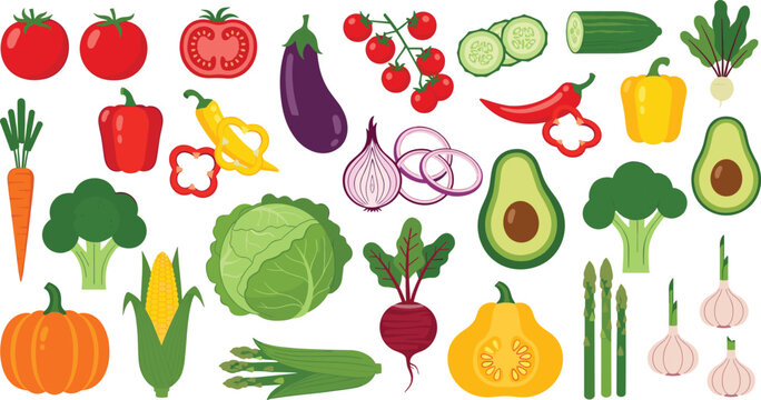 Vegetable and fruit vector illustration featuring tomatoes, cucumbers, peppers, carrots, broccoli, onions, avocado, corn, and pumpkin