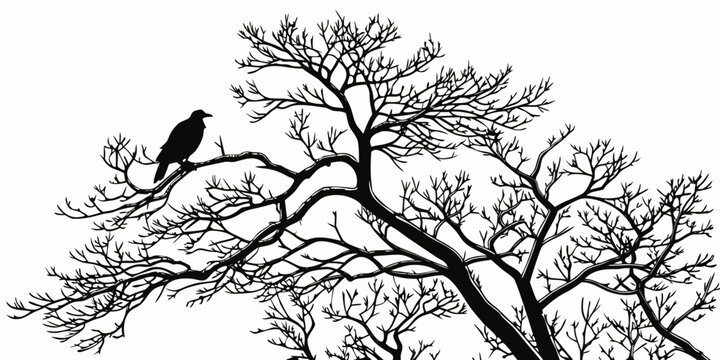 Black silhouette of a bare deciduous tree with a dense network of leafless branches and a solitary bird perched on one branch against a white background, tree without leaves