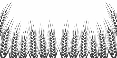 Obraz premium Wheat stalks illustration black and white botanical drawing on white background