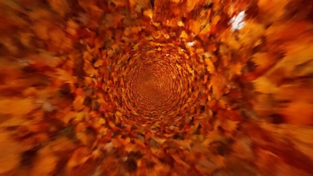 Colorful autumn leaves swirl in a dynamic spiral pattern creating a captivating visual display. Rich orange tones fill the screen, evoking the essence of fall