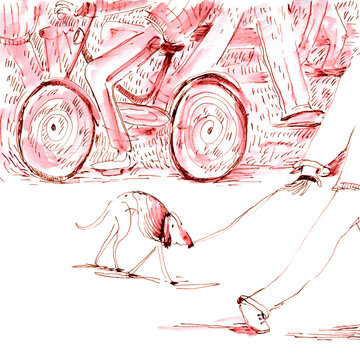 Illustration of Dog Walking by Cyclists