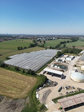 Aerial View of Agricultural Facility: An expansive greenhouse complex, nestled amidst rolling fields and rural landscape, showcases modern agricultural infrastructure.
