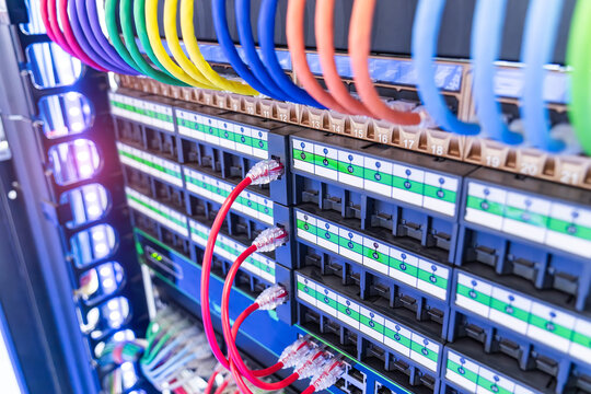 network cable connecting on network core switch close up
