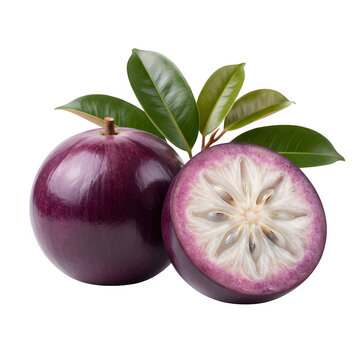 Milk fruit