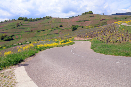 En route au milieu de l Alsace