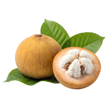 Santol