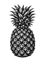Obraz premium Detailed black and white illustration of a whole pineapple with leaves on top, perfect for design and decoration