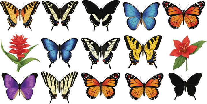 Colorful butterfly vector collection with monarch swallowtail blue morpho and tropical flowers set isolated on white background for nature wildlife garden and spring season decorative designs.
