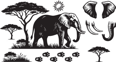 Fototapeta premium Elephant Safari Wildlife Vector Set African Animal Silhouette Nature Illustration