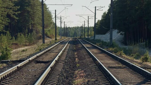 Train route solitude. Quiet railway stretching into forest. Tracks vanish into wooded distant horizon. Empty railway with trees and distant signals in late afternoon light