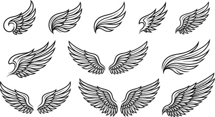 Stylized wing silhouette illustrations featuring abstract, detailed, and realistic feather designs for artistic, tattoo, logo, and fantasy artwork © MDGOLAP