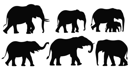 Six Elephant Silhouettes in Different Poses on White Background animal wildlife © jarif69