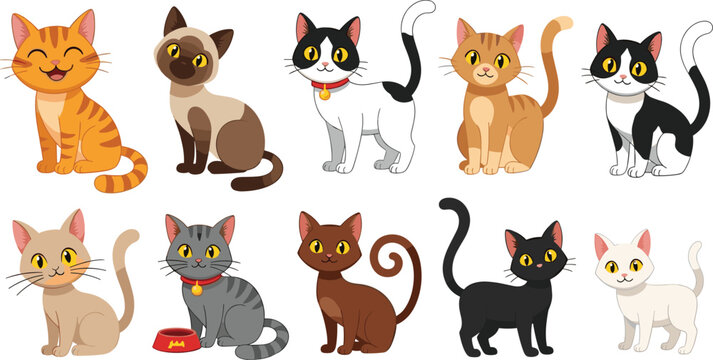 Cute cat breed vector illustration collection featuring Siamese tabby ginger calico black and white cartoon kittens for pet shop branding and animal lover stationery sticker design.