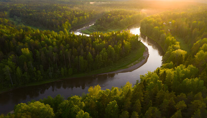 Obraz premium Golden Hour Aerial: Winding River Meandering Through Lush Green Forest at Sunrise