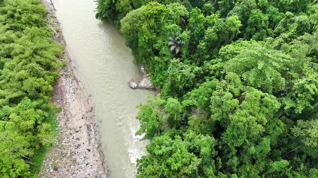 Nat&uuml;rlicher Flusslauf in tropischem gr&uuml;nen Regenwald auf Sulawesi