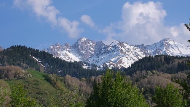 Snow-capped mountain range view with green pine forest and clear blue sky. Natural landscape background for travel, ecology and adventure projects with copy space in the sky. Location: Almaty, Kazakhs