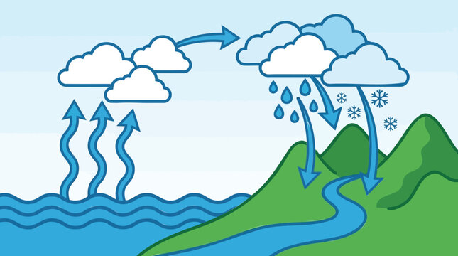 Comprehensive Illustrated Diagram of the Earth's Hydrological Water Cycle Explaining Evaporation, Condensation, Precipitation, and Surface Runoff Processes