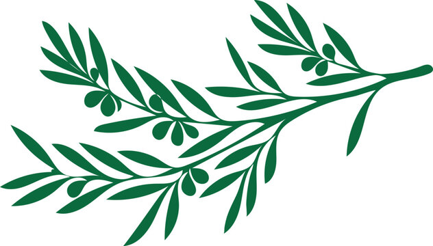 Green olive branch with leaves and olives olive tree