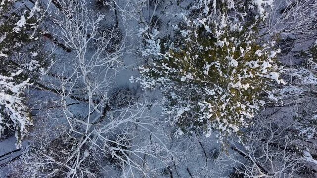 Winter aerial view featuring the snowy woods around Little River Park in Lee, New Hampshire