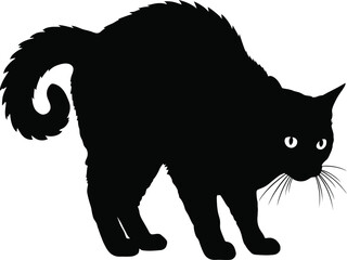 Black cat silhouette with arched back. © MonoarHossain