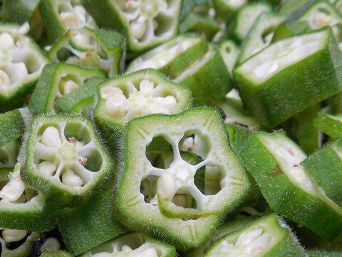 Okra or Abelmoschus esculentus green fruit slice image.