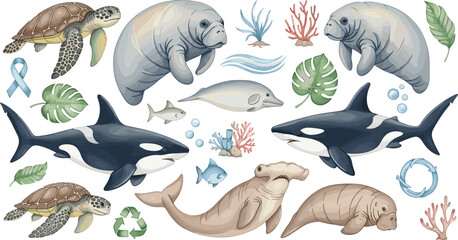 Marine Life Conservation Collection Featuring Turtles, Manatees, Dolphins, Orcas, and Coral Reef Elements in Cute Ocean Wildlife Illustration Style © Mohammad