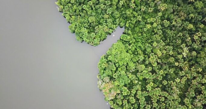 Top down aerial view of Amazon rainforest canopy with river near Iquitos Peru