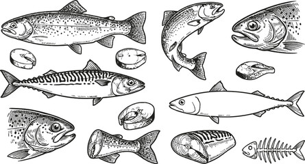 Obraz premium Vintage fish and seafood vector set featuring trout salmon mackerel fillets and skeletons for restaurant menus seafood markets grocery branding and culinary graphic design elements.