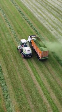 Agricultural machinery work in field. Dairy farming. Agricultural machinery collects freshly mown grass. View from above. Harvesting alfalfa in meadow to make silage for cows. Feed for cattle.