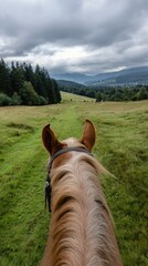 Fototapeta premium Riding a Horse Through a Grassy Field