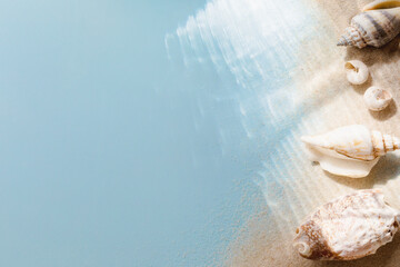 Obraz premium Collections of white and beige seashells on light blue background for summer holiday and vacations concept.