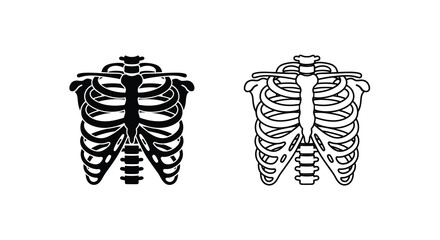 Anatomical illustration of human rib cage and sternum in black and white © Pvect02