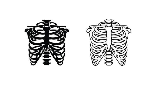 Anatomical illustration of human rib cage and sternum in black and white