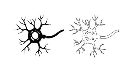 Fototapeta premium Neuron illustration detailed black and white depiction of a nerve cell structure