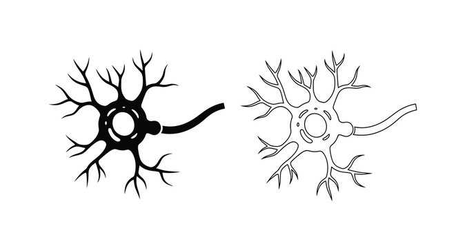 Neuron illustration detailed black and white depiction of a nerve cell structure