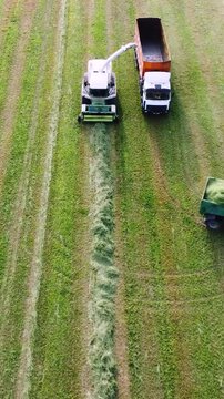 Agricultural machinery collects mown grass. View from above. Preparation of cattle feed for winter. View from above. Harvesting alfalfa from mown field to make silage for cow feed. Animal husbandry.