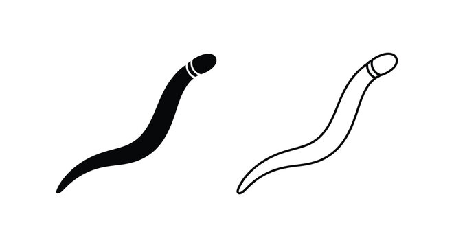 Two stylized worm illustrations black and white line art depictions