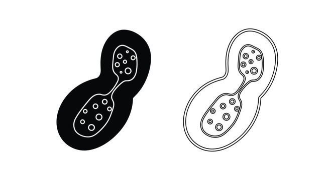 Paramecium illustration detailed sketch of a single celled organism in two styles